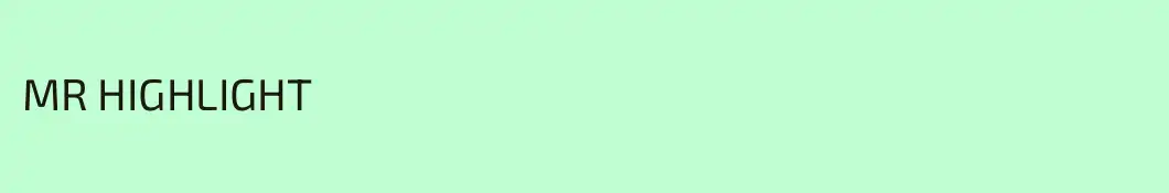 MR HIGHLIGHT 